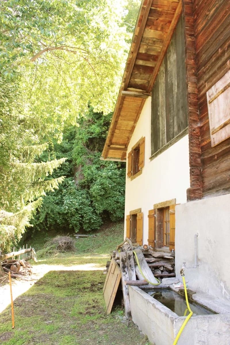 Rustic wooden cabin surrounded by lush greenery, with a balcony or terrace visible on the side of the building. There is a pile of firewood or logs in the foreground.