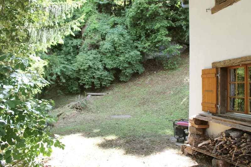 Lush, green forest surrounds a small wooden cabin with a balcony or terrace. A grassy path leads through the dense foliage, with a stack of firewood visible near the cabin.