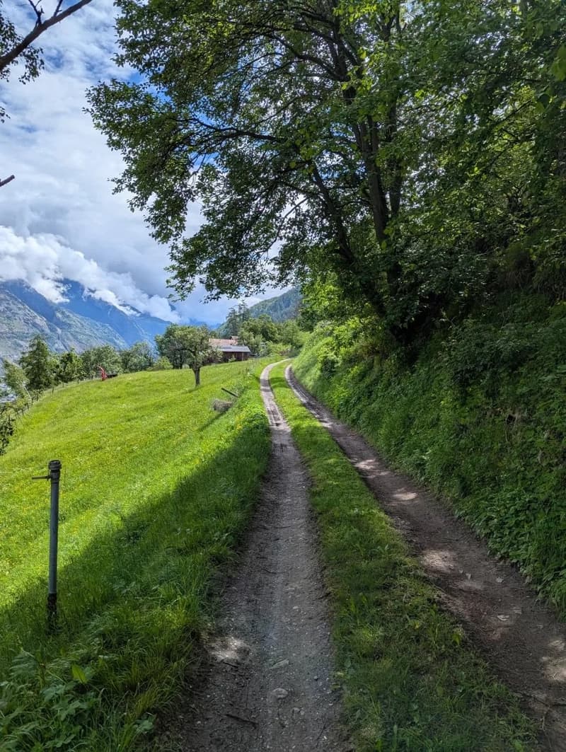 The image shows a scenic rural landscape with a winding dirt path surrounded by lush green vegetation, including tall trees and grassy fields. In the background, there are mountains visible, indicating a picturesque mountainous setting. The sky is partly
