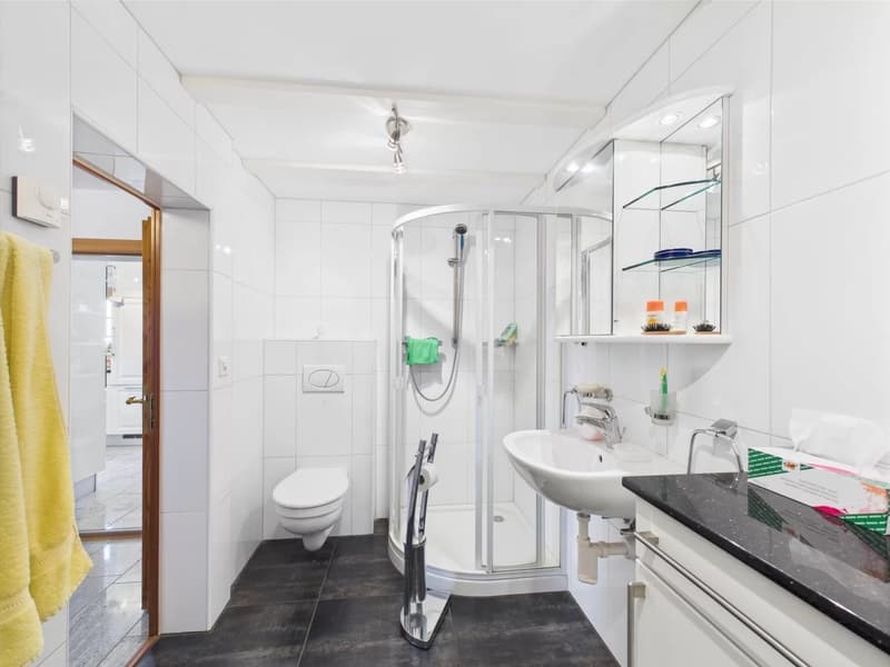 Spacious bathroom with a glass shower enclosure, toilet, sink with vanity, and shelving for storage. The room has a clean, modern design with white tiles and accents.