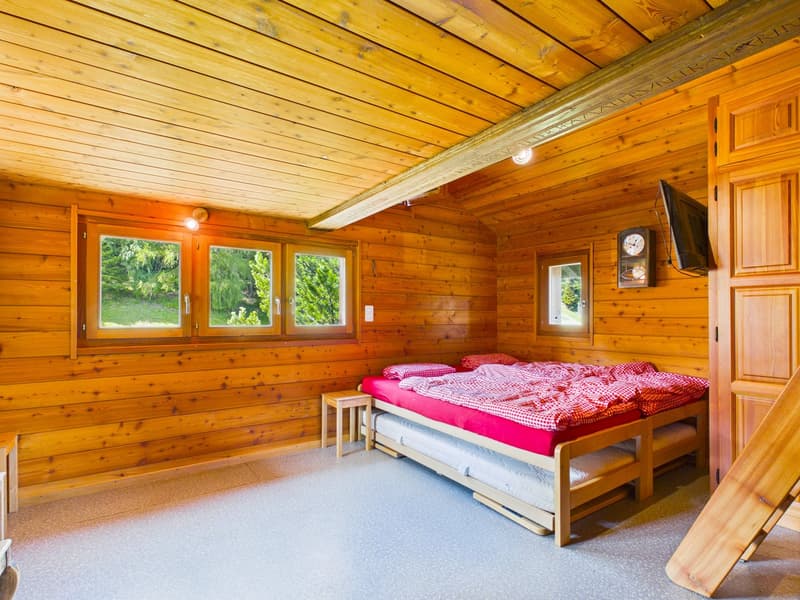 Gemütliche Altwohnung in einer fantastischen Umgebung in der Moosalpregion (5)