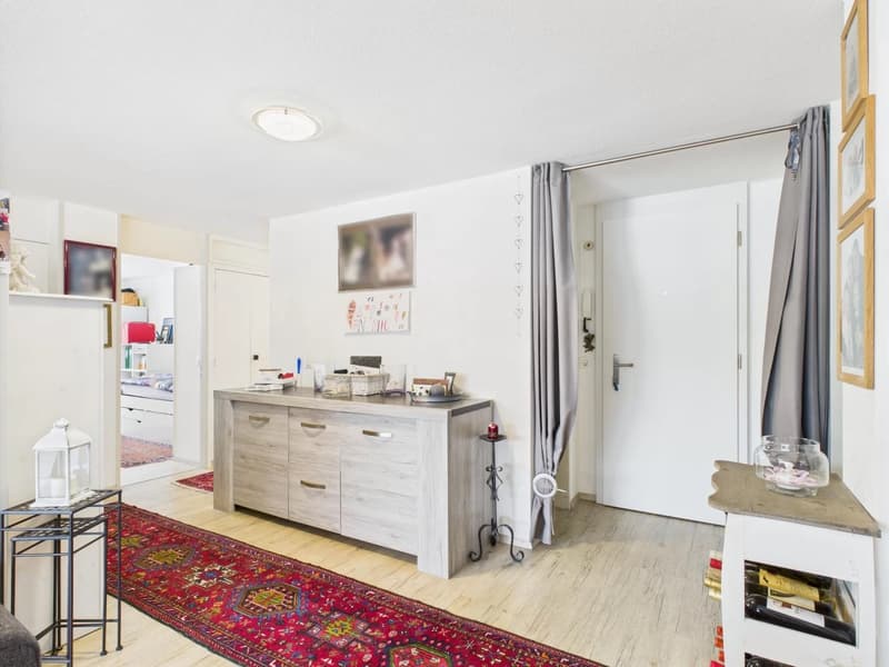 Open-plan studio apartment with hardwood flooring, white walls, a wooden cabinet with drawers, a fireplace, and a colorful patterned rug on the floor. The apartment also has a curtain-covered entryway and various decor items and artwork on the walls.