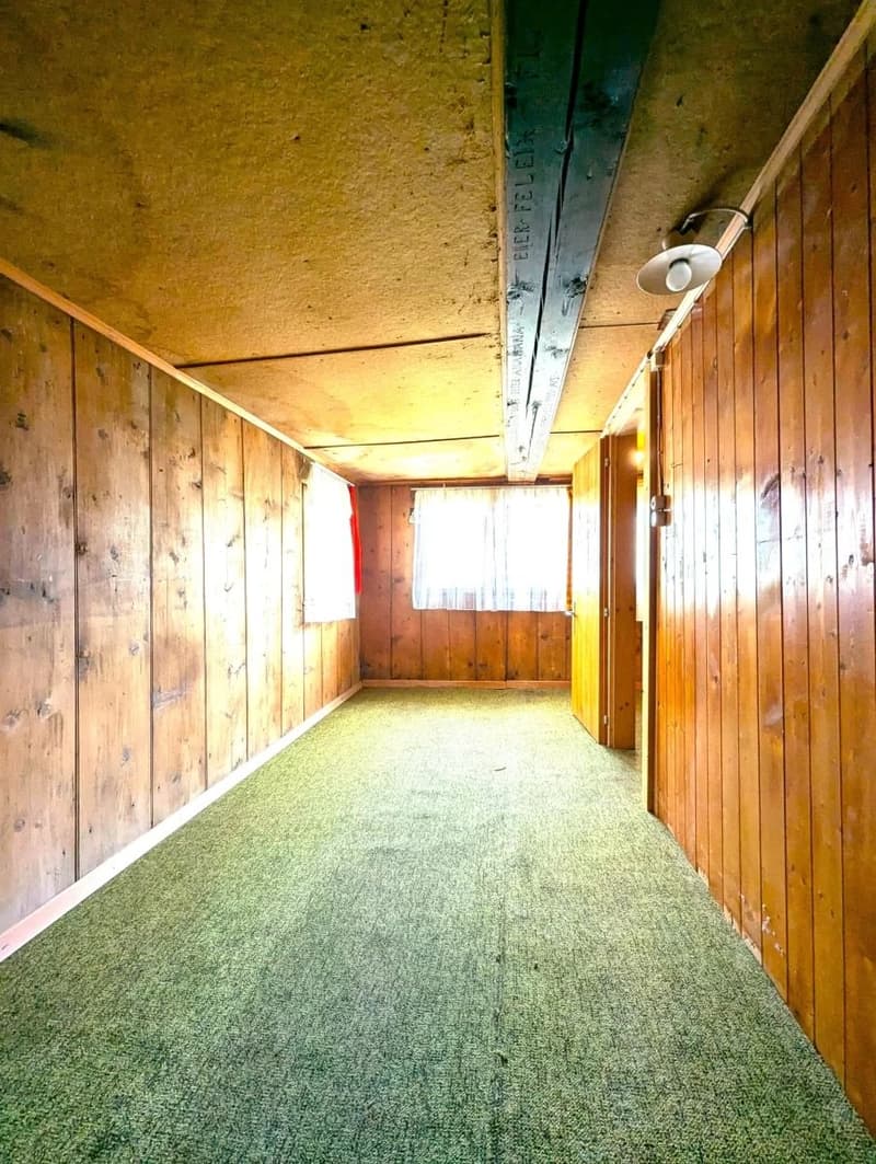 The image shows the interior of a wooden structure, likely a shed or small building. The walls are made of wooden panels, and the floor is covered with green carpeting. There is a light fixture hanging from the ceiling, and a doorway can be seen at the en