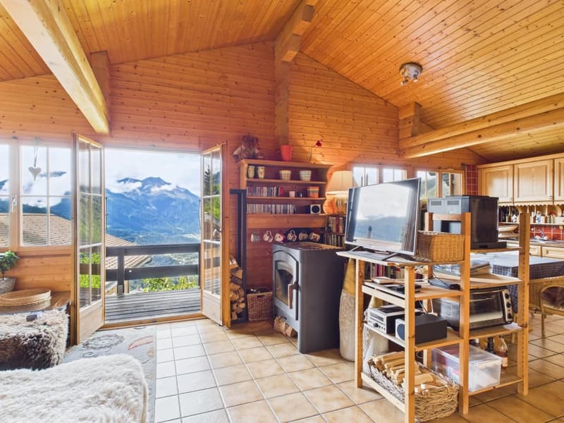 wood walls, tiled floor, open doorway to balcony, TV, fireplace, shelves with books and items, chair, rug, potted plant