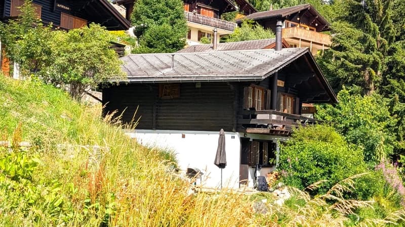 Wooden chalet house, gray roof, wooden balconies, white lower walls, tall grass and trees in front