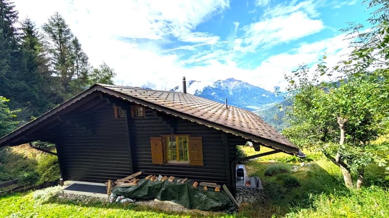 Log cabin style house, brown shingles, wooden windows, exterior grill, mountainous area, greenery surrounding