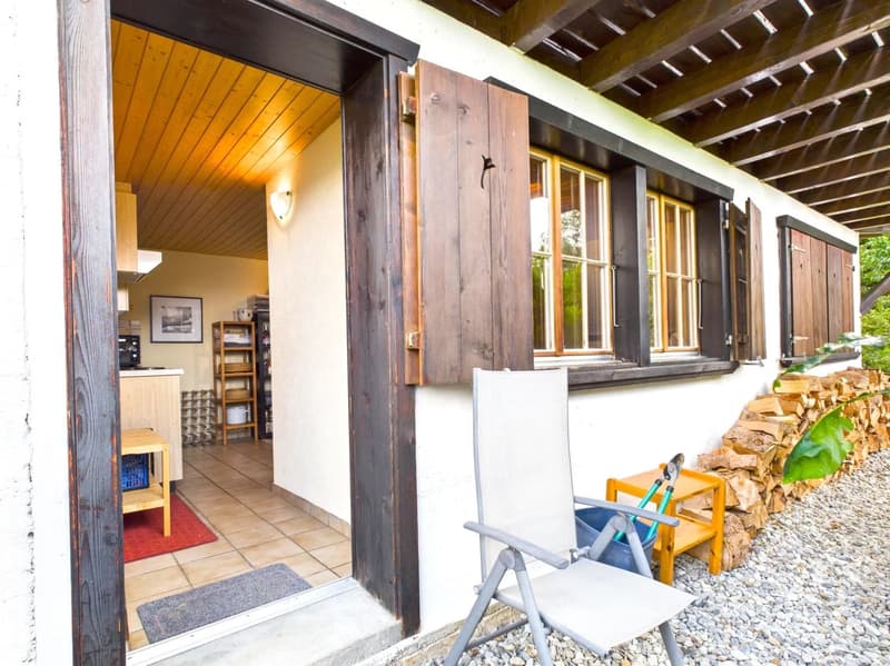 Outdoor view of a wooden house, open entrance, wooden door, tiled floor, wooden table, wooden shelves, pile of firewood, pile of rocks, garden, greenery.