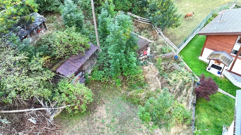 Building site with existing shed, horse in the background