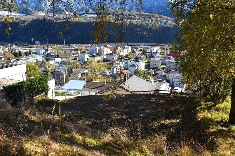 Large grassy area with plants and trees. View of the valley and mountains.