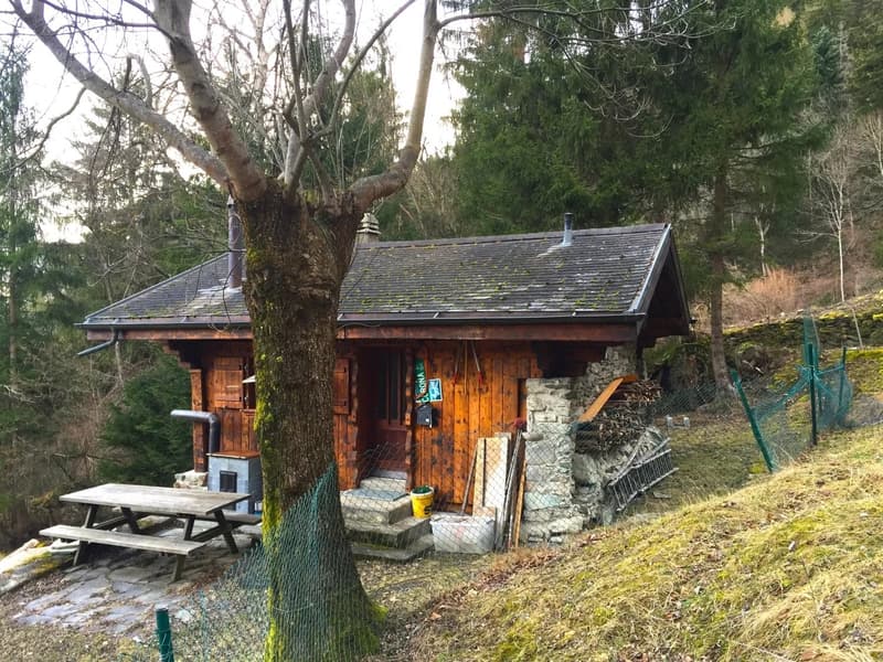Gemütliches Maiensäss in Waldlichtung (10)