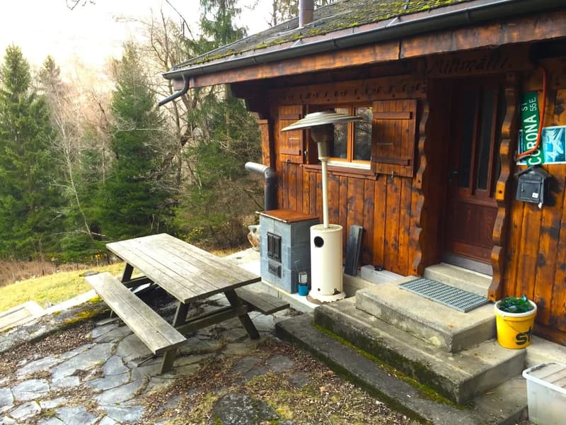 Gemütliches Maiensäss in Waldlichtung (9)