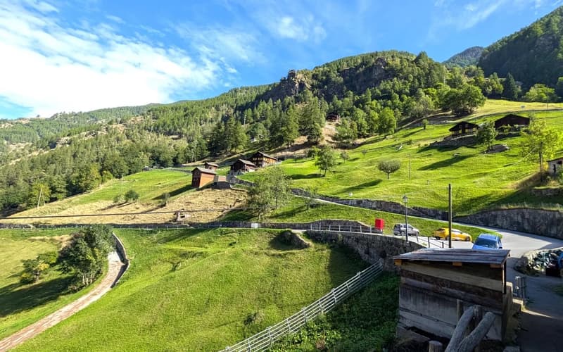 Mountain village view with wooden houses, winding road, lush green landscape, car parked on the road