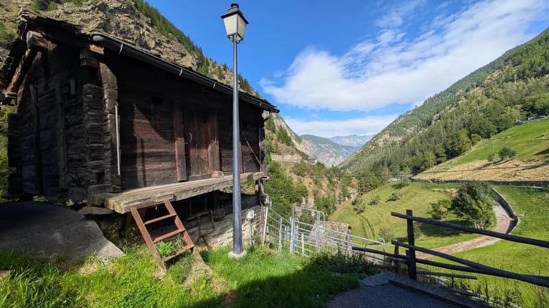 Raised wooden house, metal ladder leading to the entrance, located in the mountains