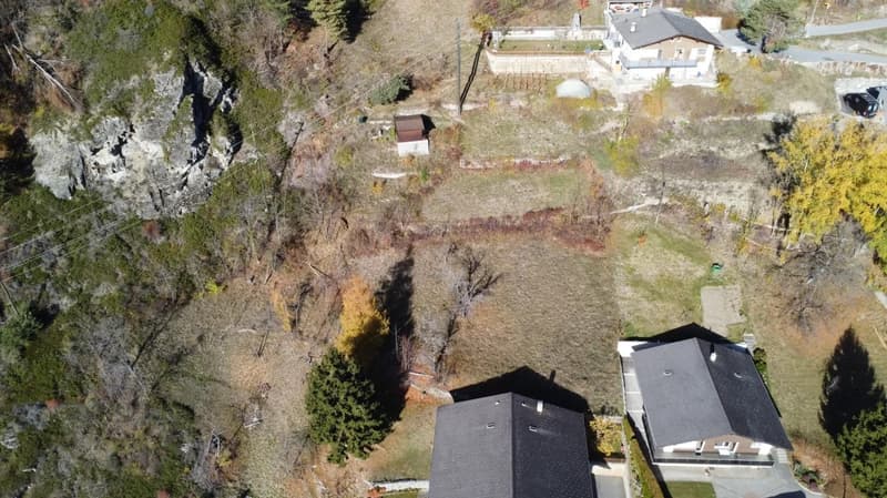 Plot of land, surrounded by trees and plants, two houses, electrical poles, and wires.