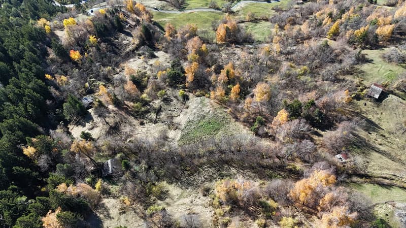 Aerial view of wooded land with patches of grass, surrounded by green trees and vegetation, a small path in the center
