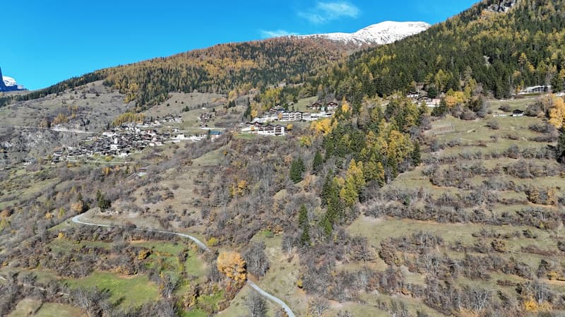 aerial view of mountainous houses, dense forest, road