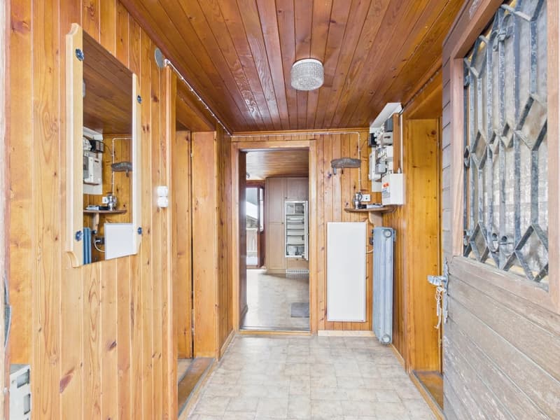 Two-family house in the Binntal landscape park (2)