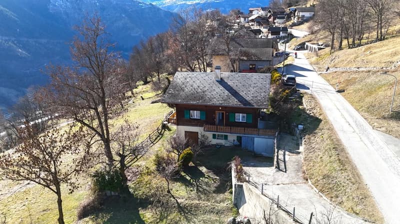 House with a raised ground floor, wooden exterior, grey roof, white walls, garage, located on a mountain road, driveway leading to the house, trees, mountainous surroundings