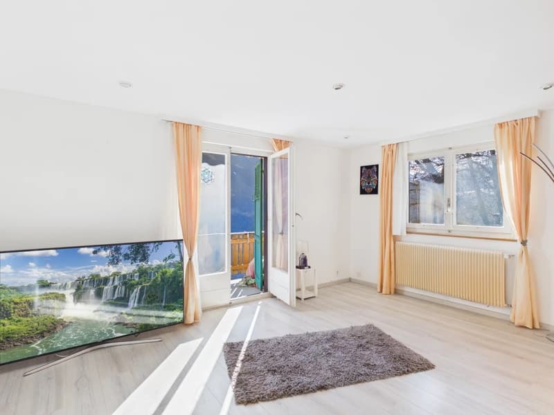 Large TV, wooden floor, curtains, balcony, radiator, rug
