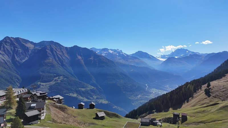 Cluster of chalets located in a mountain valley, surrounded by lush greenery and scenic mountains in the background.