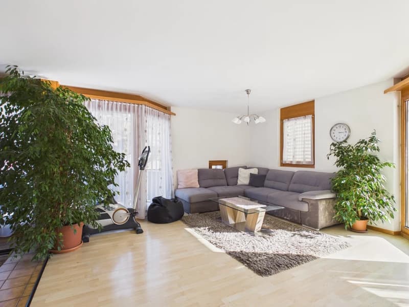 spacious living room with gray sofa, glass coffee table, white carpet, large windows with white curtains, plants, exercise machine, decorative pillow