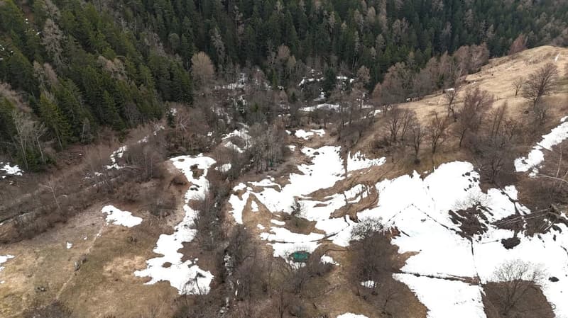 hilly terrain, snow patches, trees, shrubs, open space