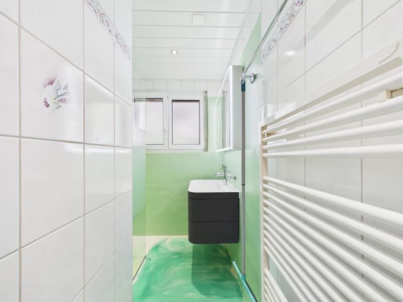 Spacious owner-occupied apartment with panoramic views (10)