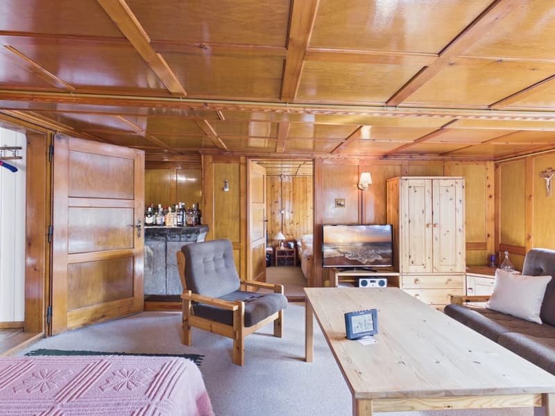 living room with wooden walls, wooden chair, wooden table, TV, couch, wooden cabinet, lamp, carpet, bed