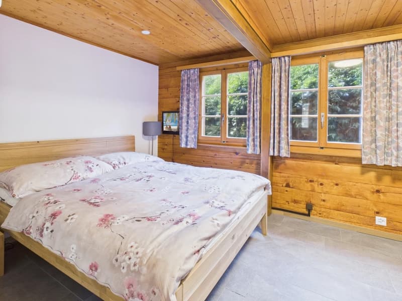 Bedroom with wooden walls, double bed, two pillows, bedside table, lamp, TV, windows with curtains