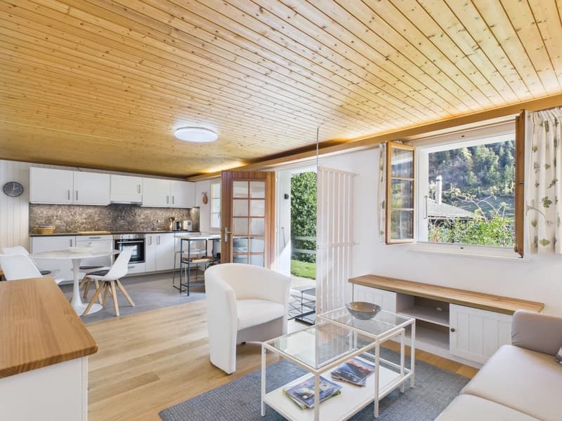 Open plan living room and kitchen, wooden ceiling, white walls, wooden floor, large windows, table, chairs, couch, coffee table, kitchen appliances, view of the outside