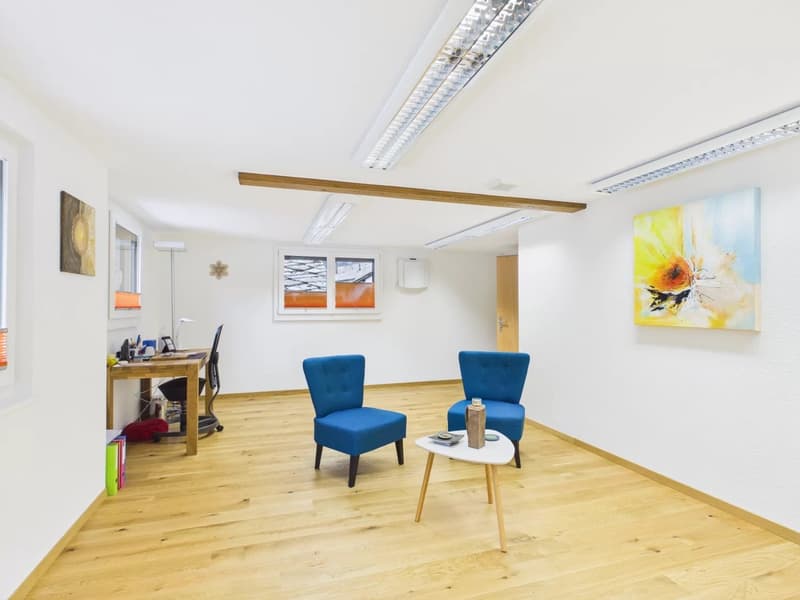 Space for ideas - practice, office or stylish apartment (2)