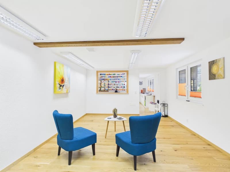 Space for ideas - practice, office or stylish apartment (1)