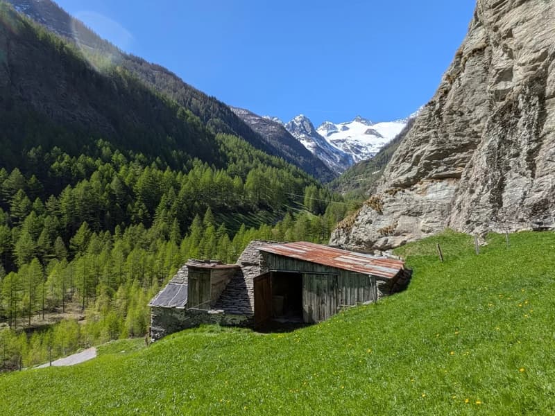 Rustico incantevole nella zona di Simplon - gioiello originale per chi realizza (2)