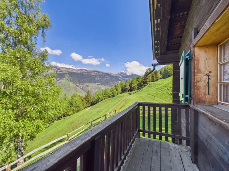 Alpine hut feeling with spectacular views and pure tranquility (7)