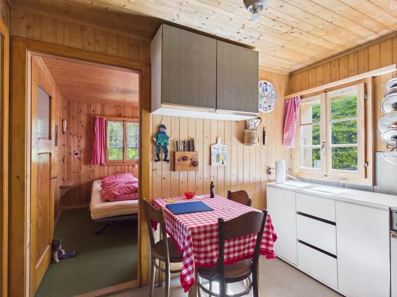 Alpine hut feeling with spectacular views and pure tranquility (3)