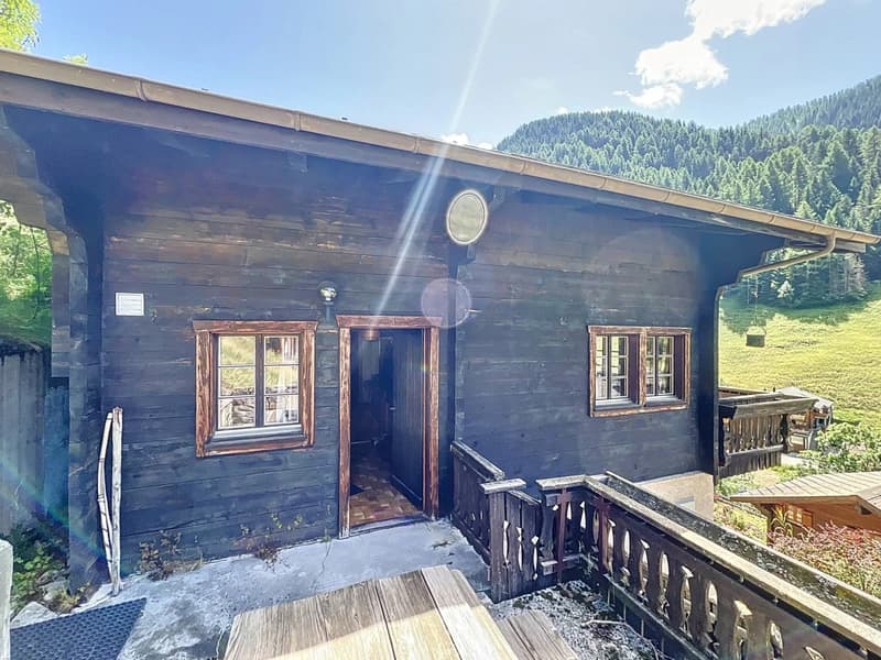 Charming Chalet above the Roofs of Binn (13)