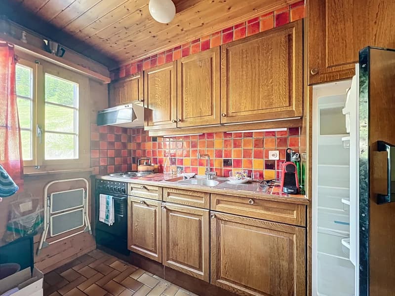 Charming Chalet above the Roofs of Binn (8)