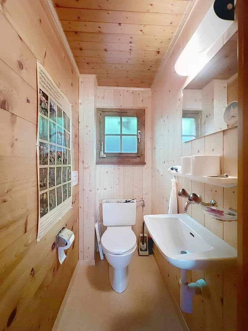 Charming Chalet above the Roofs of Binn (9)