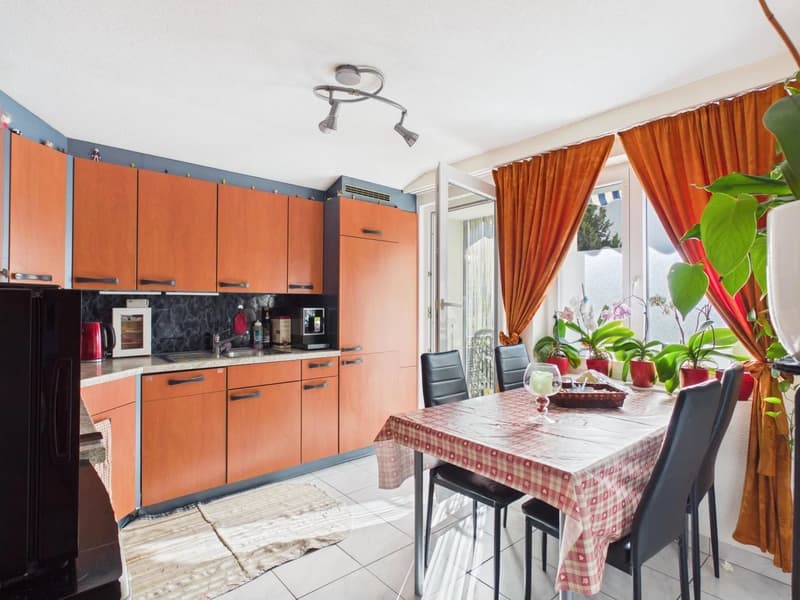 Ideal rental property with two apartments (10)