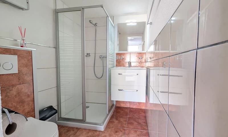 Ideal rental property with two apartments (5)