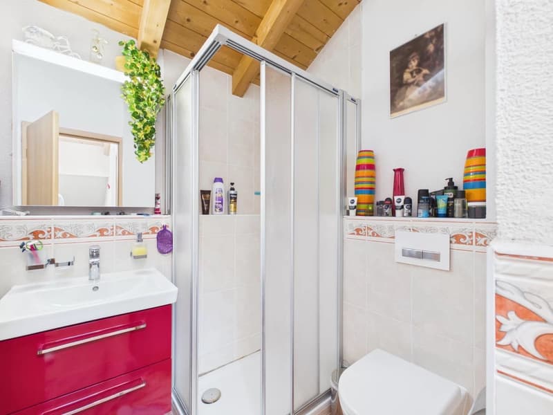 Ideal rental property with two apartments (12)
