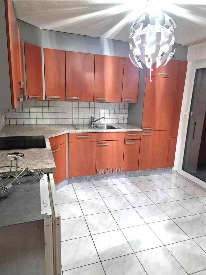 Ideal rental property with two apartments (6)