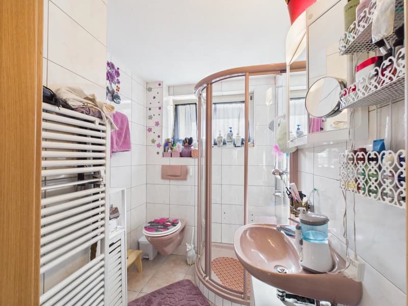 Ideal rental property with two apartments (9)
