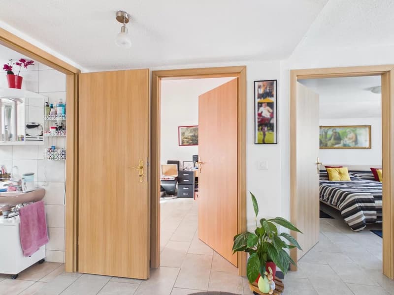 Ideal rental property with two apartments (13)