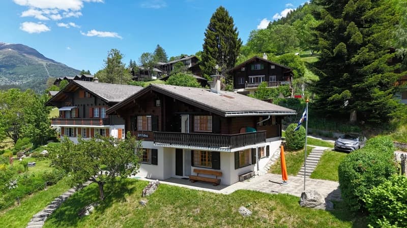 Exklusives Chalet an sonniger Aussichtslage in Ernen (1)