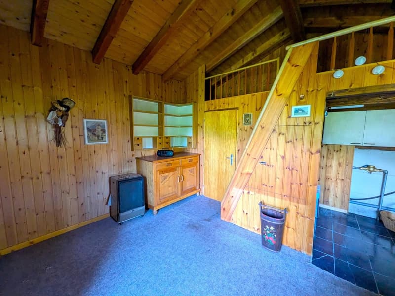 Chalet de conte de fées dans une clairière de mélèzes (4)
