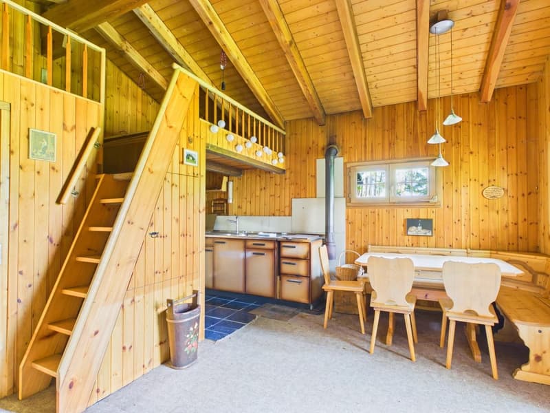 Chalet de conte de fées dans une clairière de mélèzes (3)