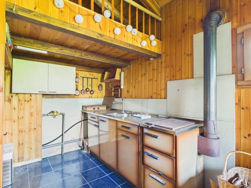 Chalet de conte de fées dans une clairière de mélèzes (5)