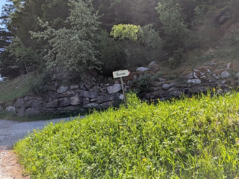Chalet de conte de fées dans une clairière de mélèzes (14)