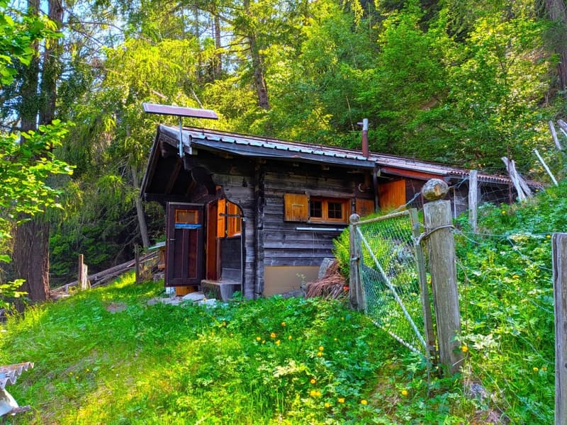 Chalet de conte de fées dans une clairière de mélèzes (2)